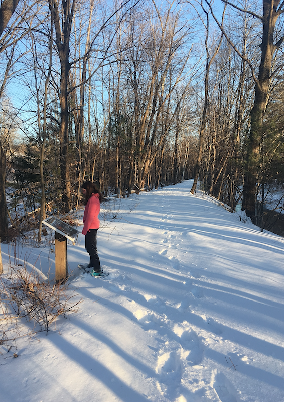 Current Work (Blog) | Concord – Lake Sunapee Rail Trail | Connecting